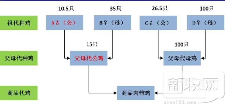66.jpg