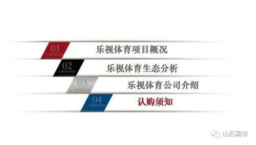 贾跃亭融资计划书曝光：看他如何靠两份PPT融资