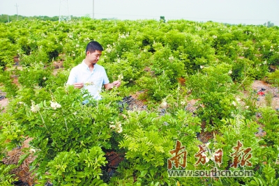 农业产业升级更需要人才支撑