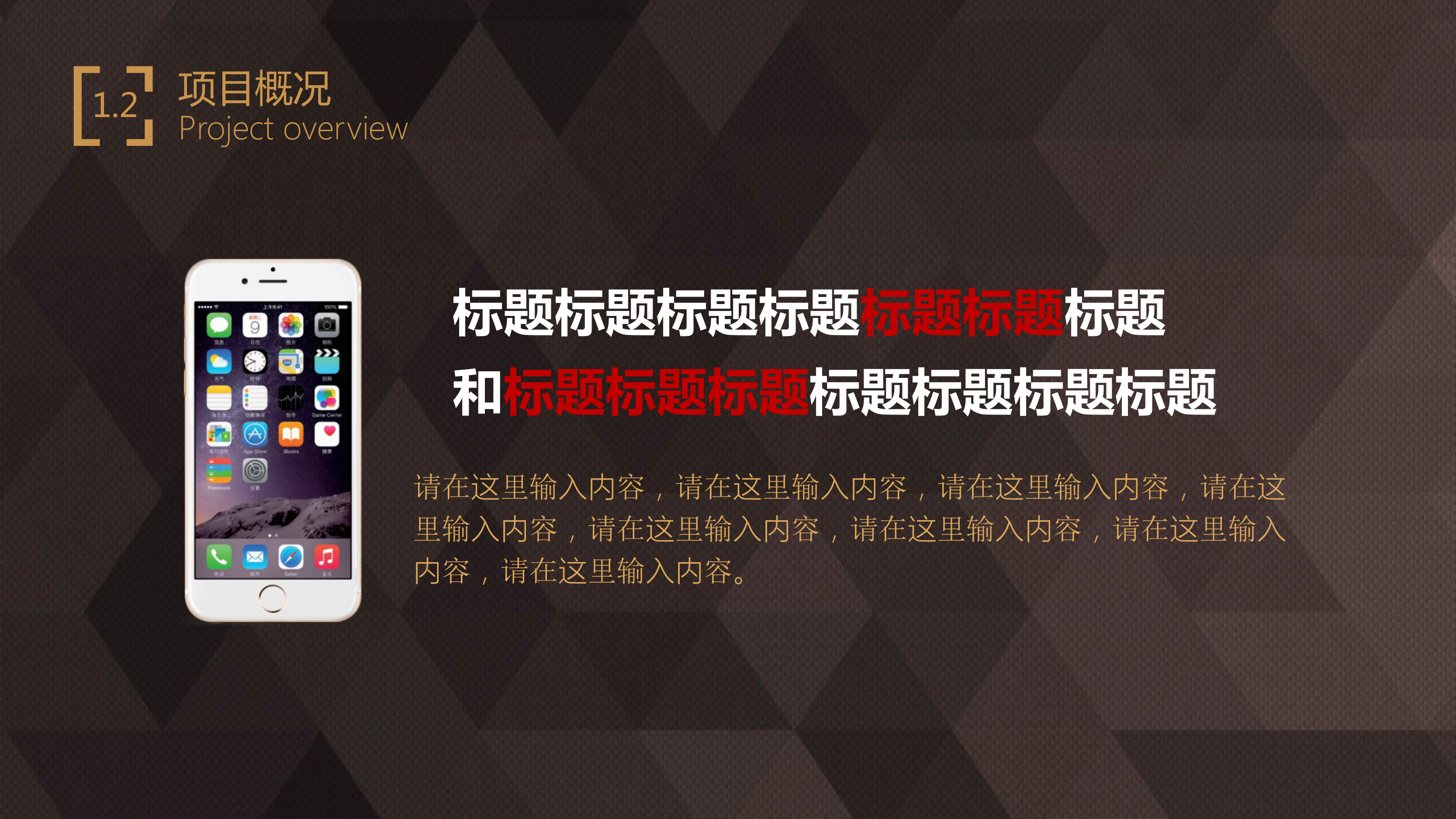 轻奢大气企业商业计划书