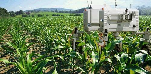 未来农业：机器人与你一起“锄禾”
