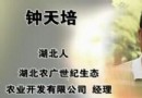 钟天培：黄鳝养殖年收入百万元