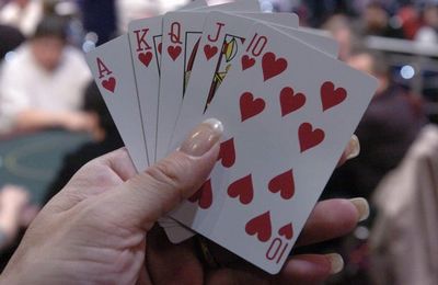 295_201311141540081.jpg